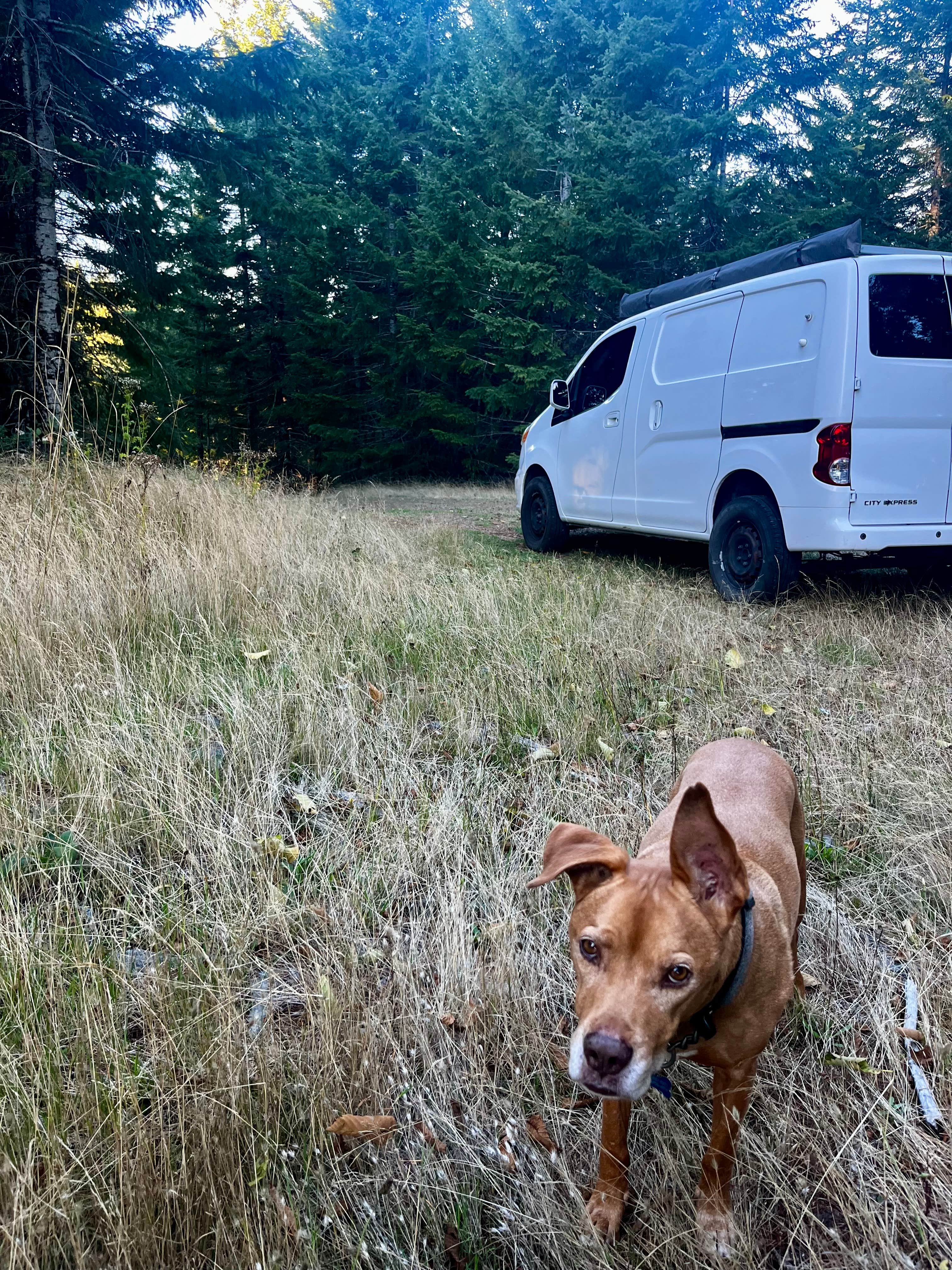 Camper submitted image from BLM Kentucky Falls Road - 4