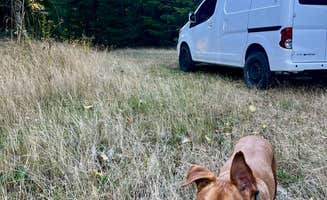 Marasha L.'s photo of camping with pets at BLM Kentucky Falls Road near Eugene, OR