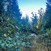 Review photo of BLM Kentucky Falls Road by Marasha L., September 25, 2025