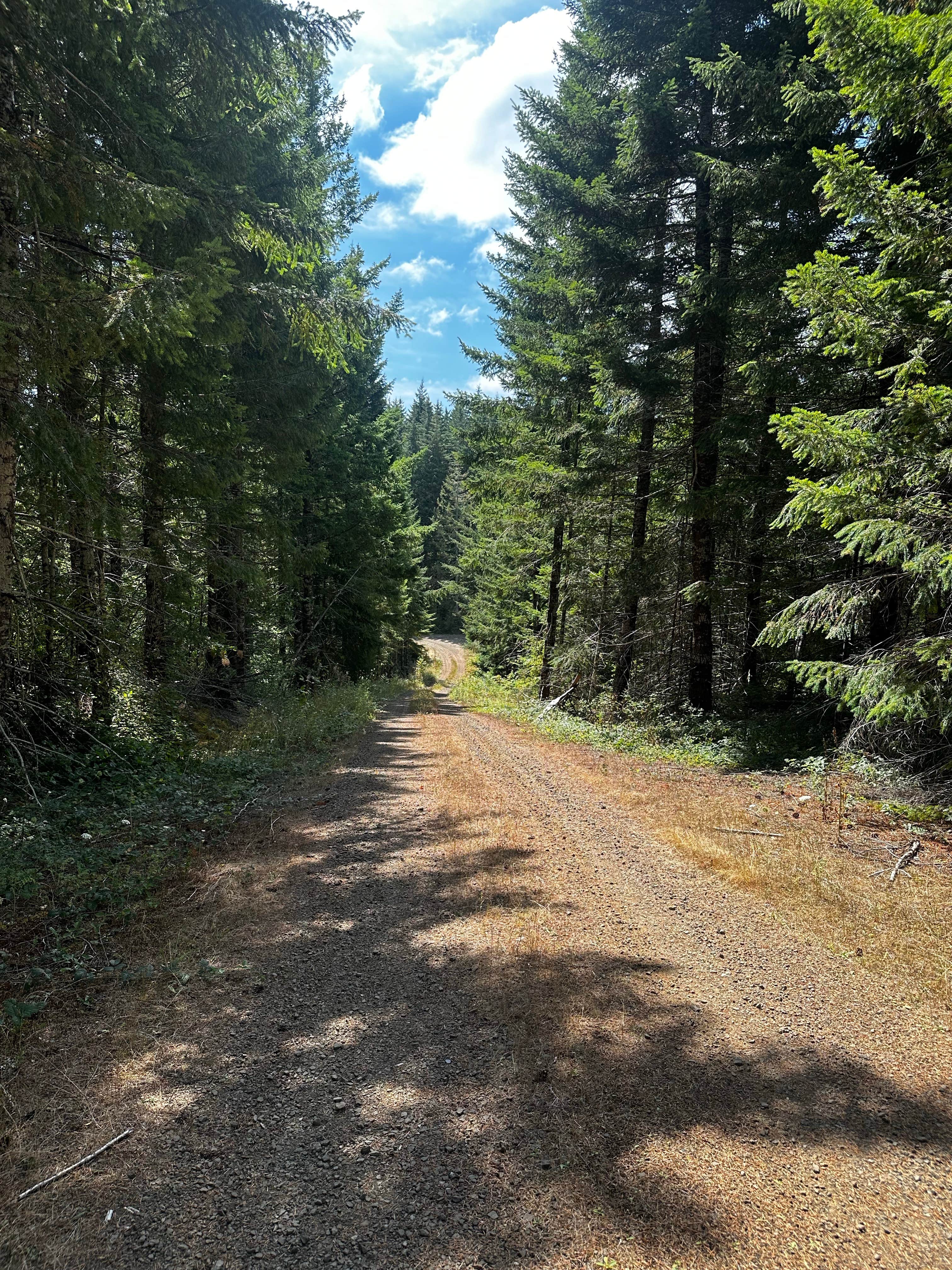 Camper submitted image from BLM Kentucky Falls Road - 3