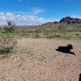 Review photo of BLM King Valley Road Free Dispersed by mike J., March 7, 2024