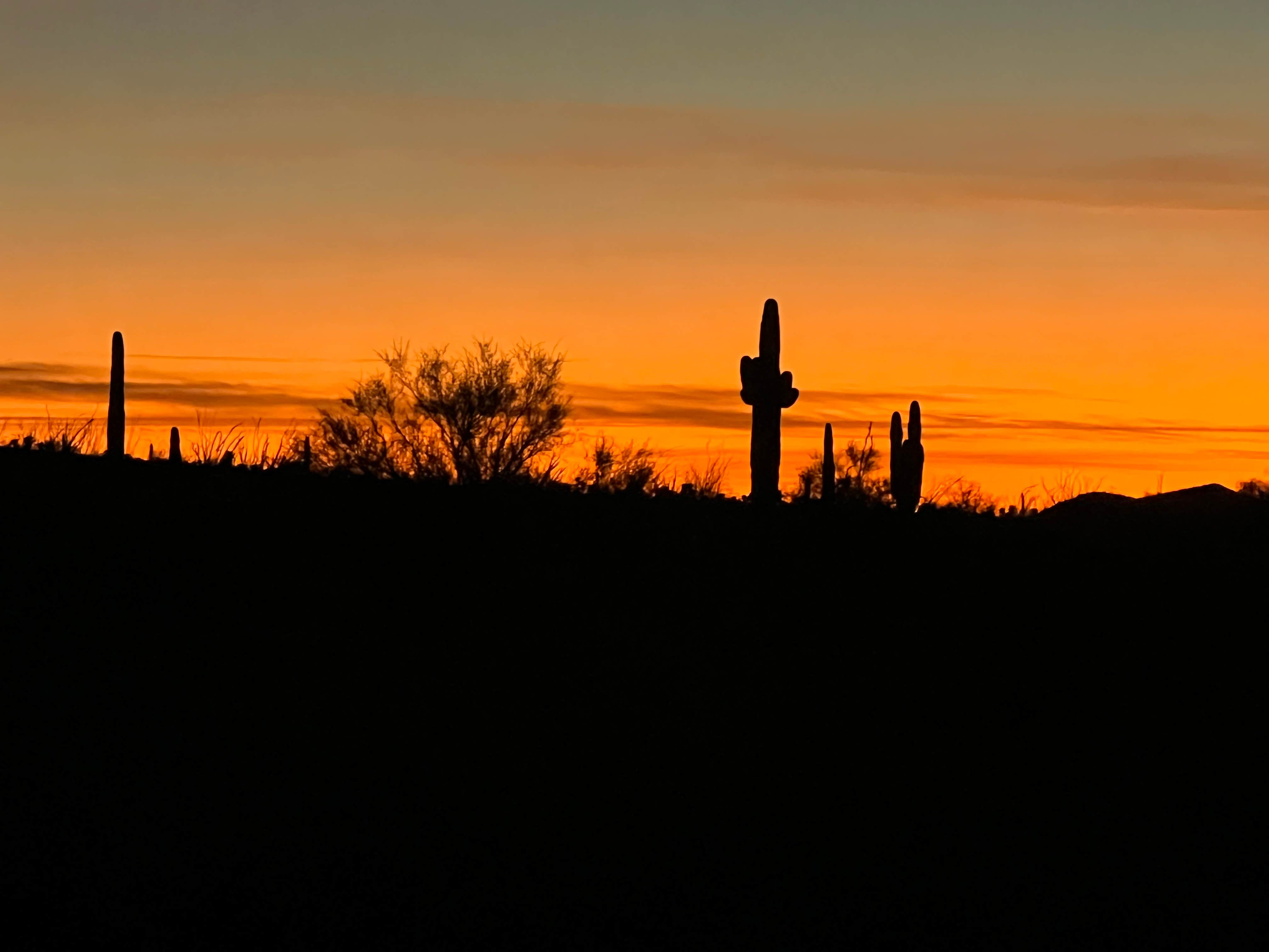 Christine B.'s photo of a dispersed camping area at BLM King Valley Road Free Dispersed near Palo Verde, CA
