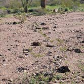 Review photo of BLM King Valley Road Free Dispersed by mike J., March 7, 2024