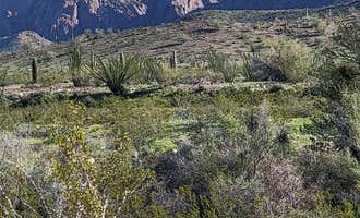 Camping near Kofa Queen Canyon: BLM King Valley Road Free Dispersed, Cibola, Arizona