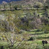 Review photo of BLM King Valley Road Free Dispersed by mike J., March 7, 2024