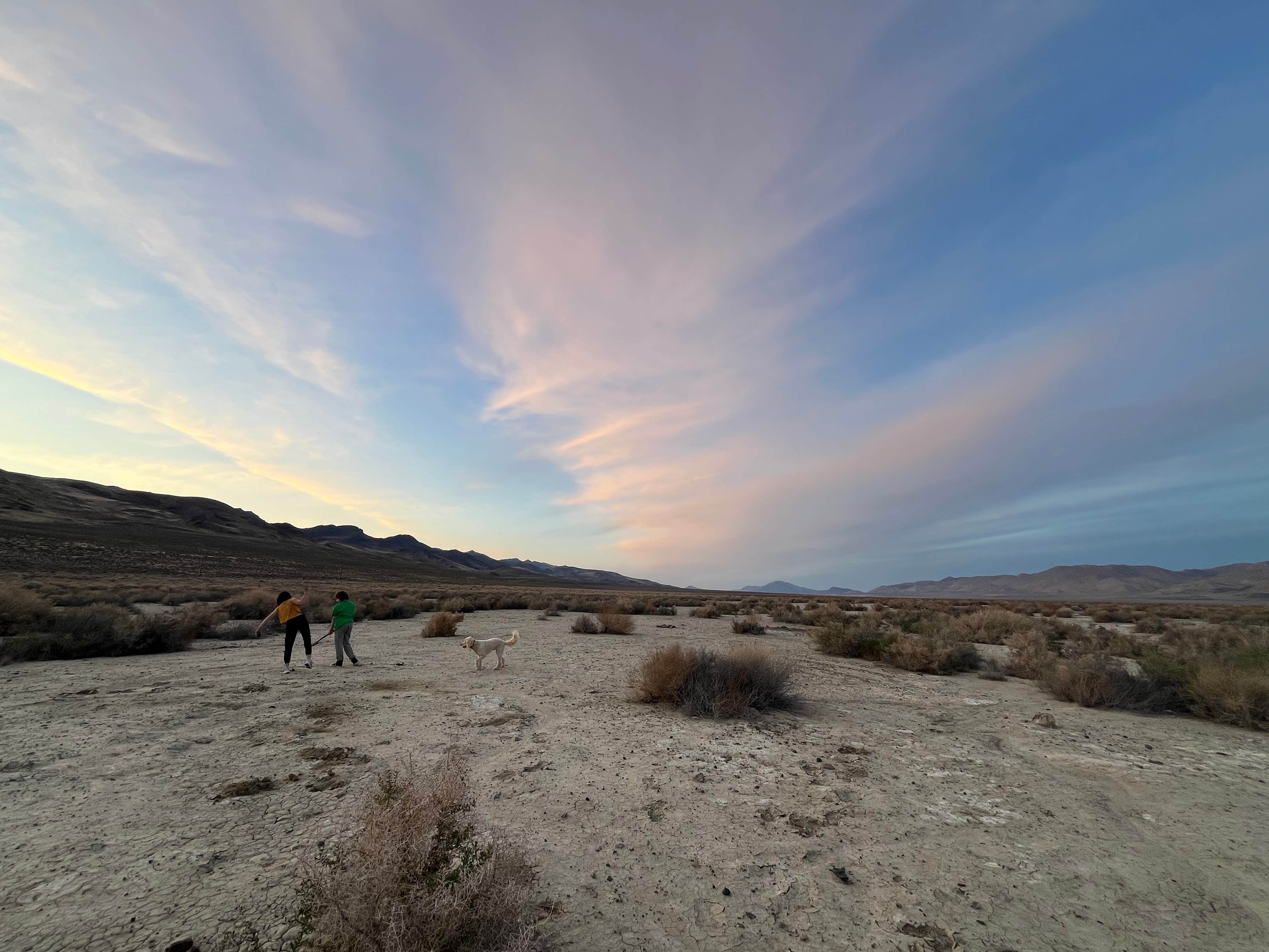 Miriam M.'s photo of camping with pets at BLM Land near Pyramid Lake - Dispersed Camping near Fallon, NV