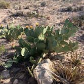 Review photo of Carlsbad BLM Land Dispersed by S H., May 6, 2024