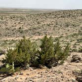 Review photo of Carlsbad BLM Land Dispersed by Debra J., May 7, 2025