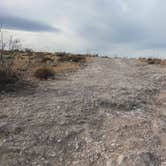 Review photo of Carlsbad BLM Land Dispersed by Vidalia S., January 9, 2026