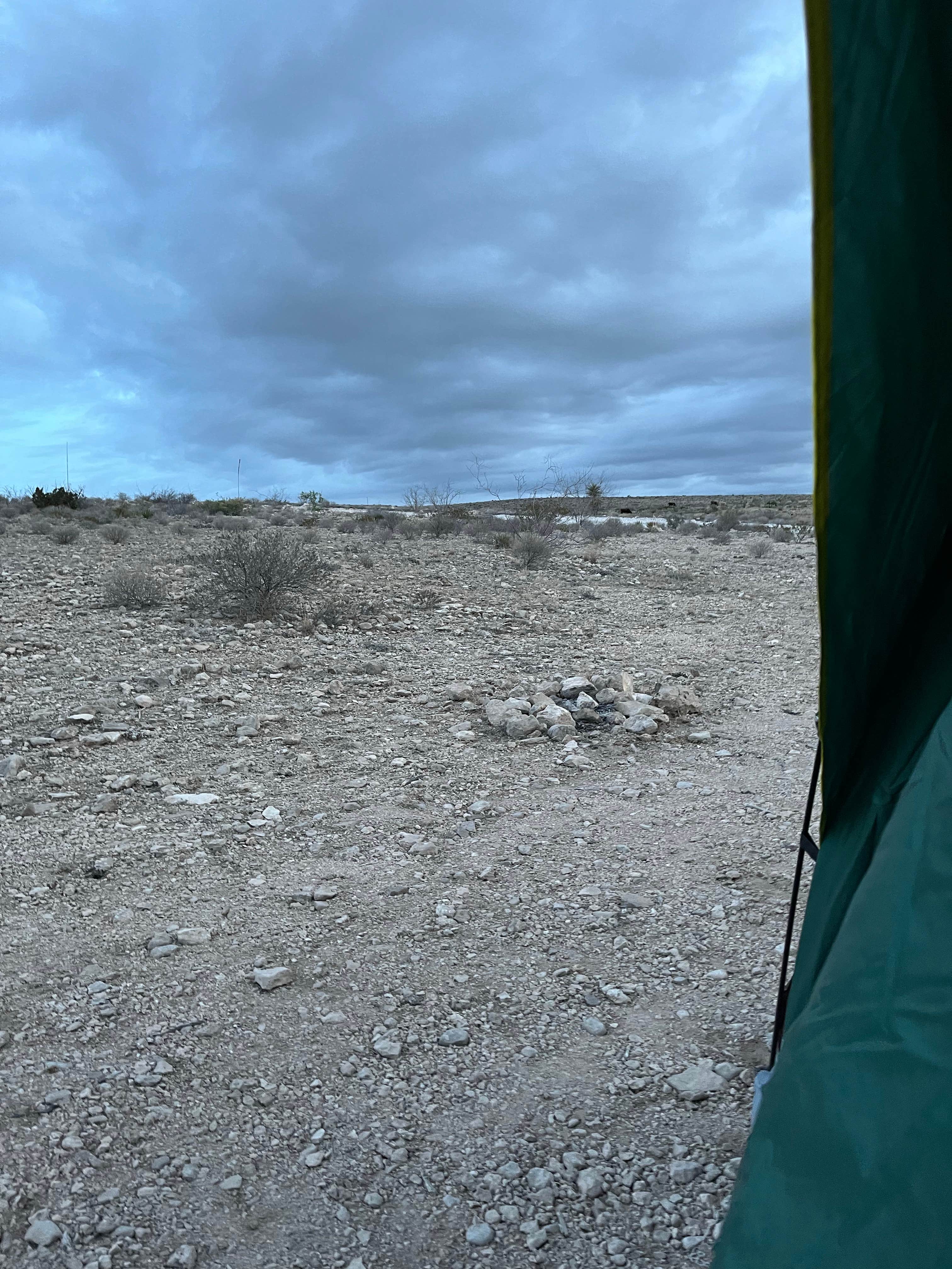 Chasity M.'s photo at Carlsbad BLM Land Dispersed near Carlsbad, NM