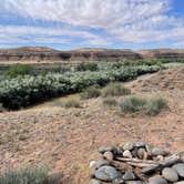 Review photo of BLM Dispersed on San Juan River by MP C., June 15, 2024