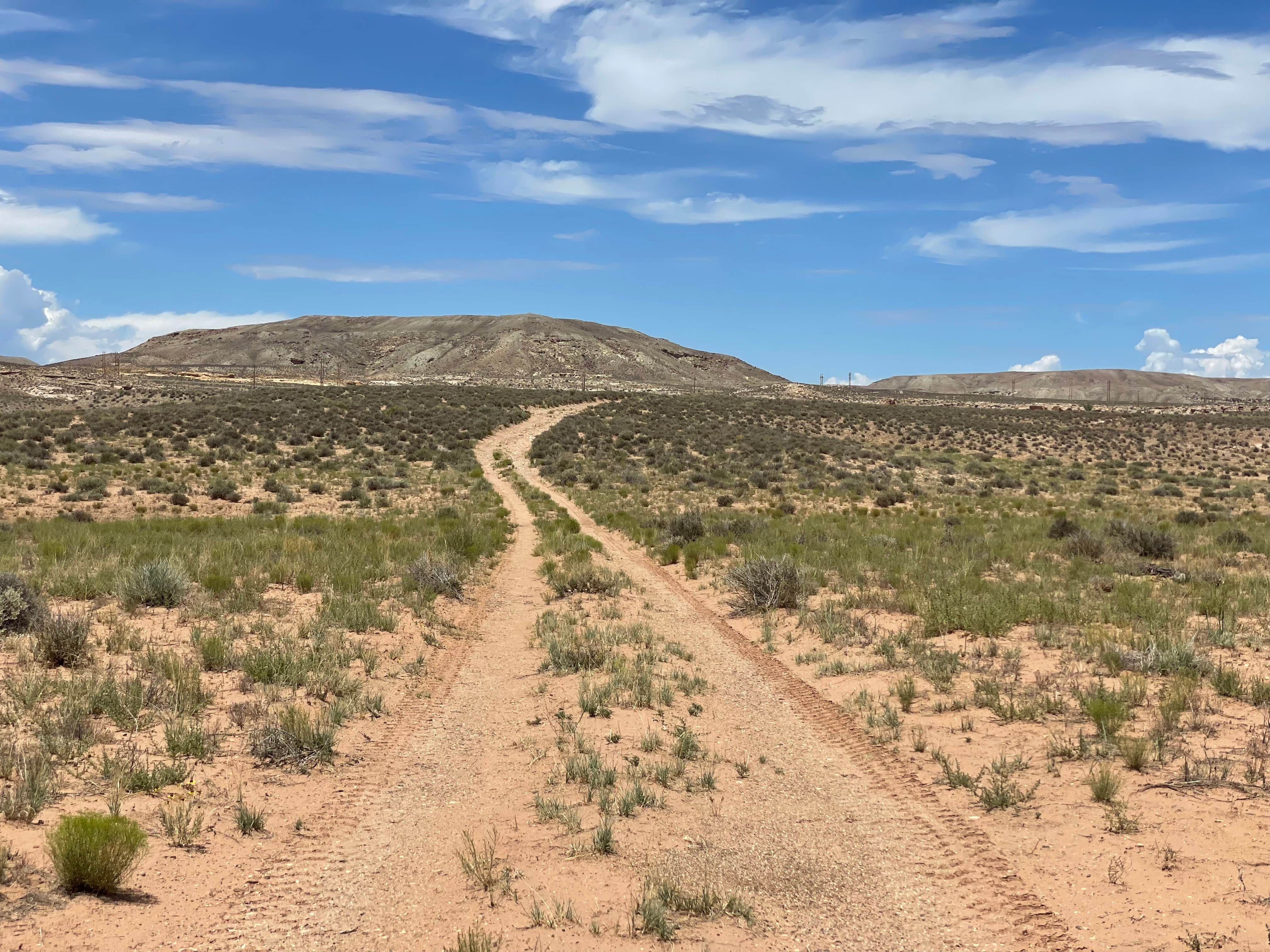 Alfred H.'s photo of a dispersed camping area at BLM Dispersed on San Juan River near Bluff, UT
