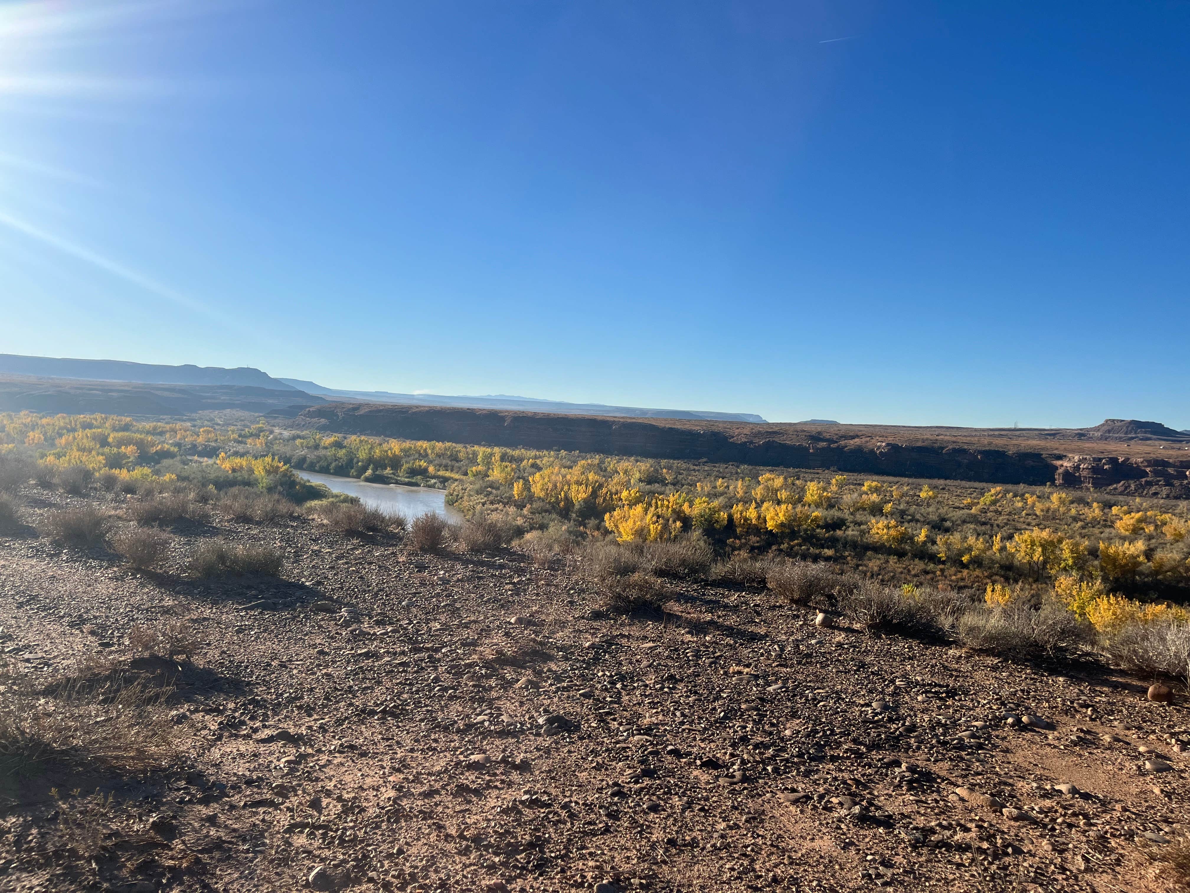Hannah M.'s photo of a dispersed camping area at BLM Dispersed on San Juan River near Bluff, UT
