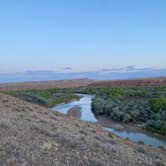 Review photo of BLM Dispersed on San Juan River by Amina B., May 6, 2024