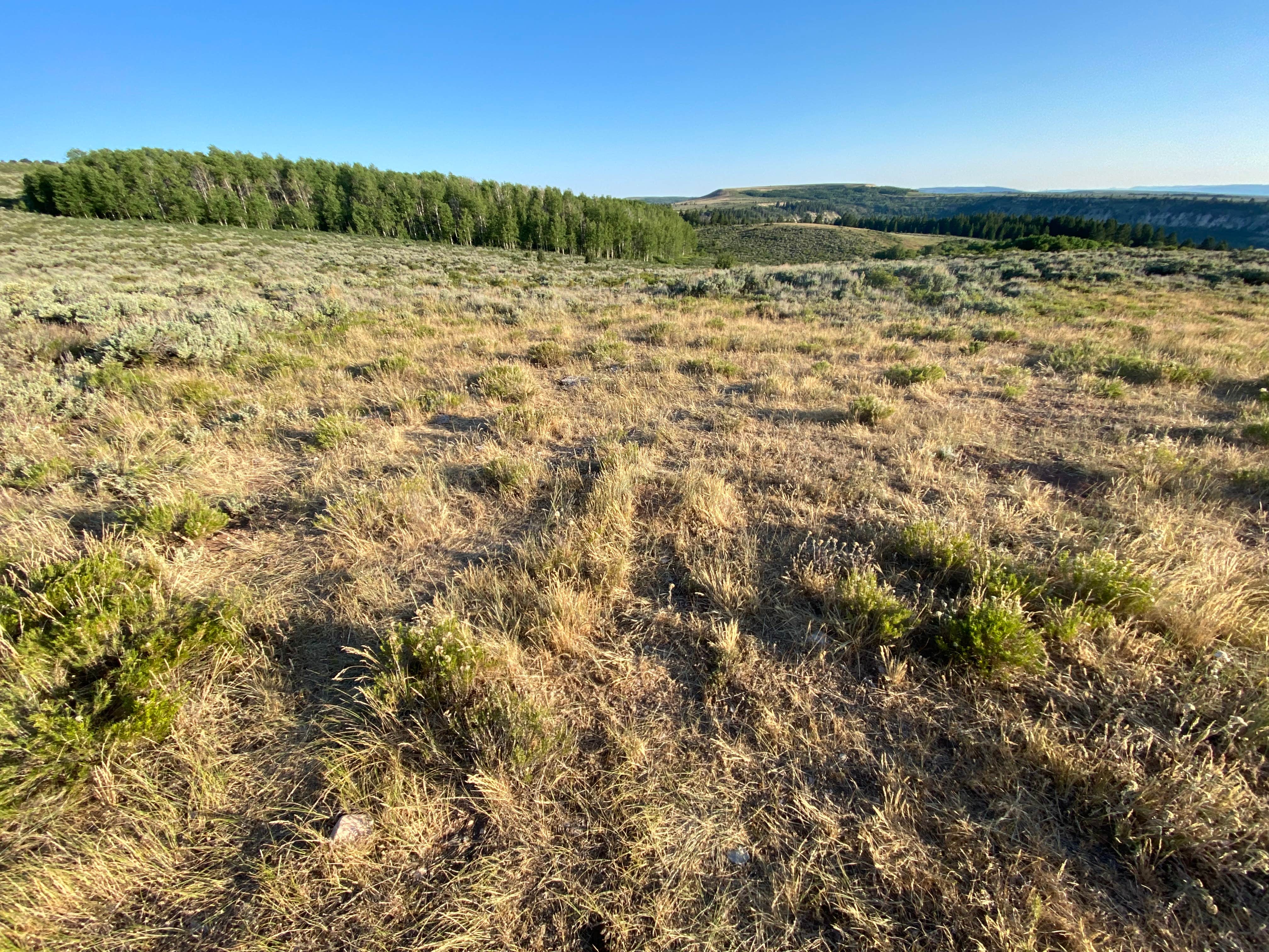 Camping near Woodruff Narrows Public Access Area: Fossil Butte National Monument BLM, Kemmerer, Wyoming