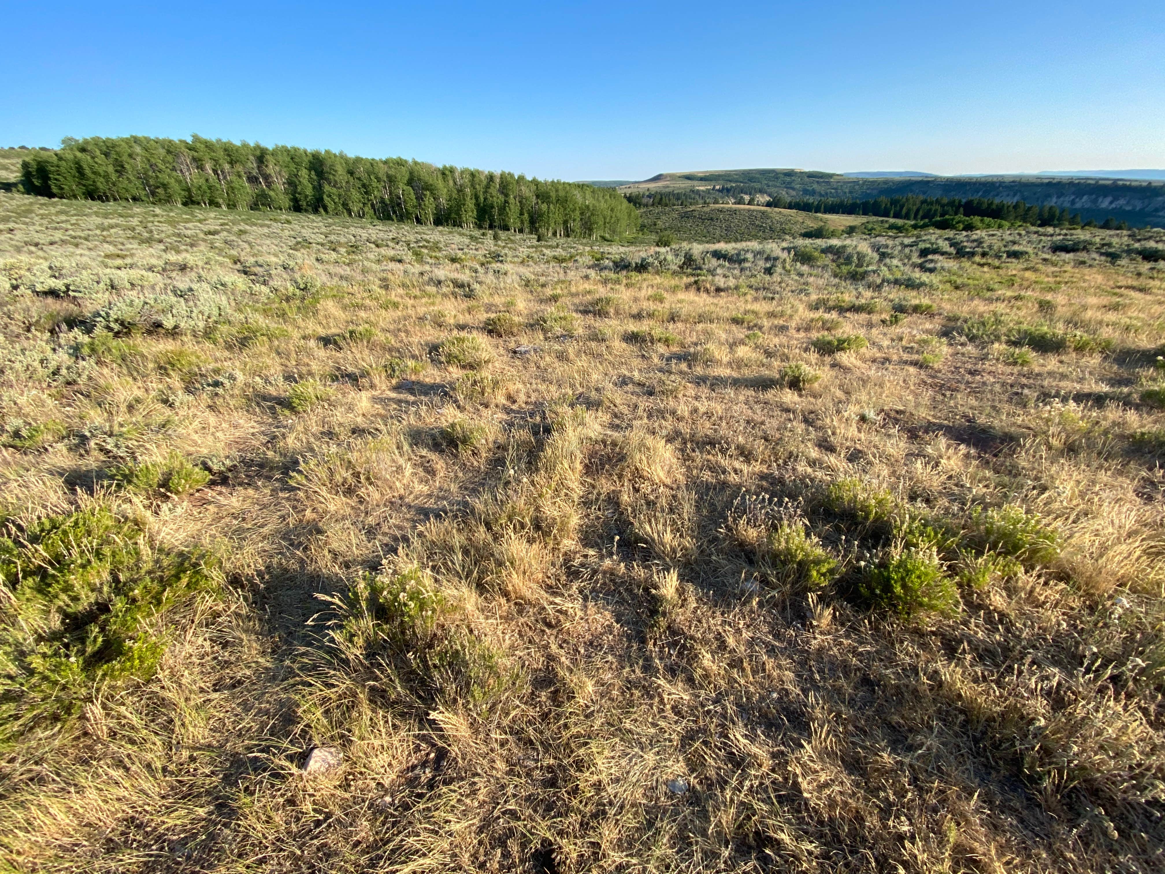 Camper submitted image from Fossil Butte National Monument BLM - 1