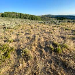 Fossil Butte National Monument BLM