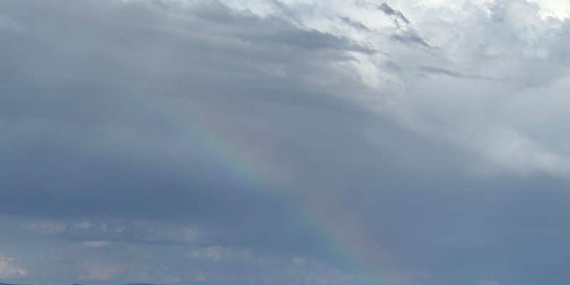 Camper submitted image from Fossil Butte National Monument BLM