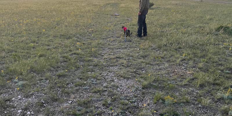 Camper submitted image from BLM - Livingston