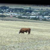 Review photo of BLM - Livingston by Fa B., July 31, 2026