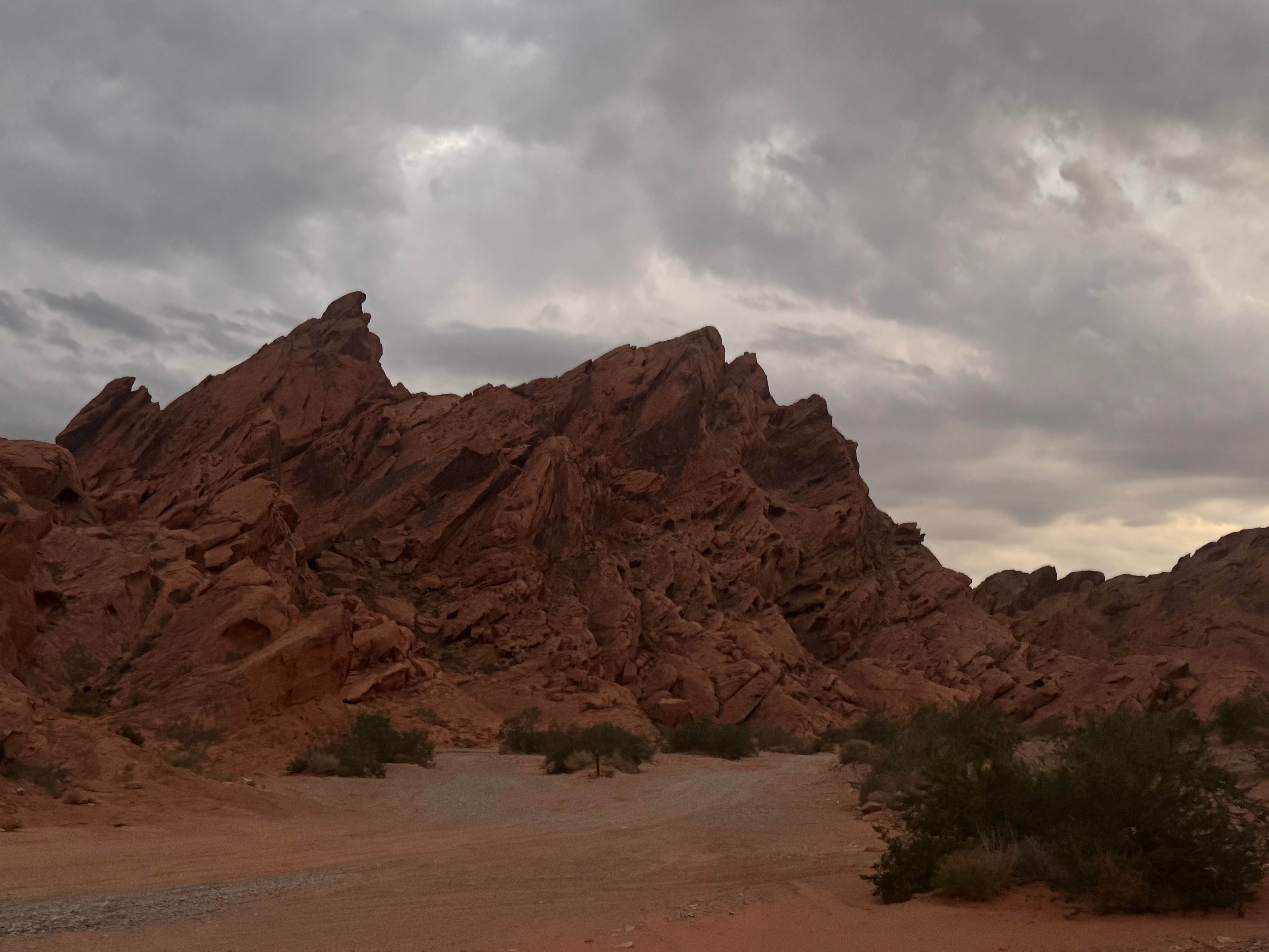 Camper-submitted photo at BLM Logandale Trails System Primitive Camping near Overton, NV