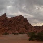 Review photo of BLM Logandale Trails System Primitive Camping by Elizabeth C., October 10, 2025