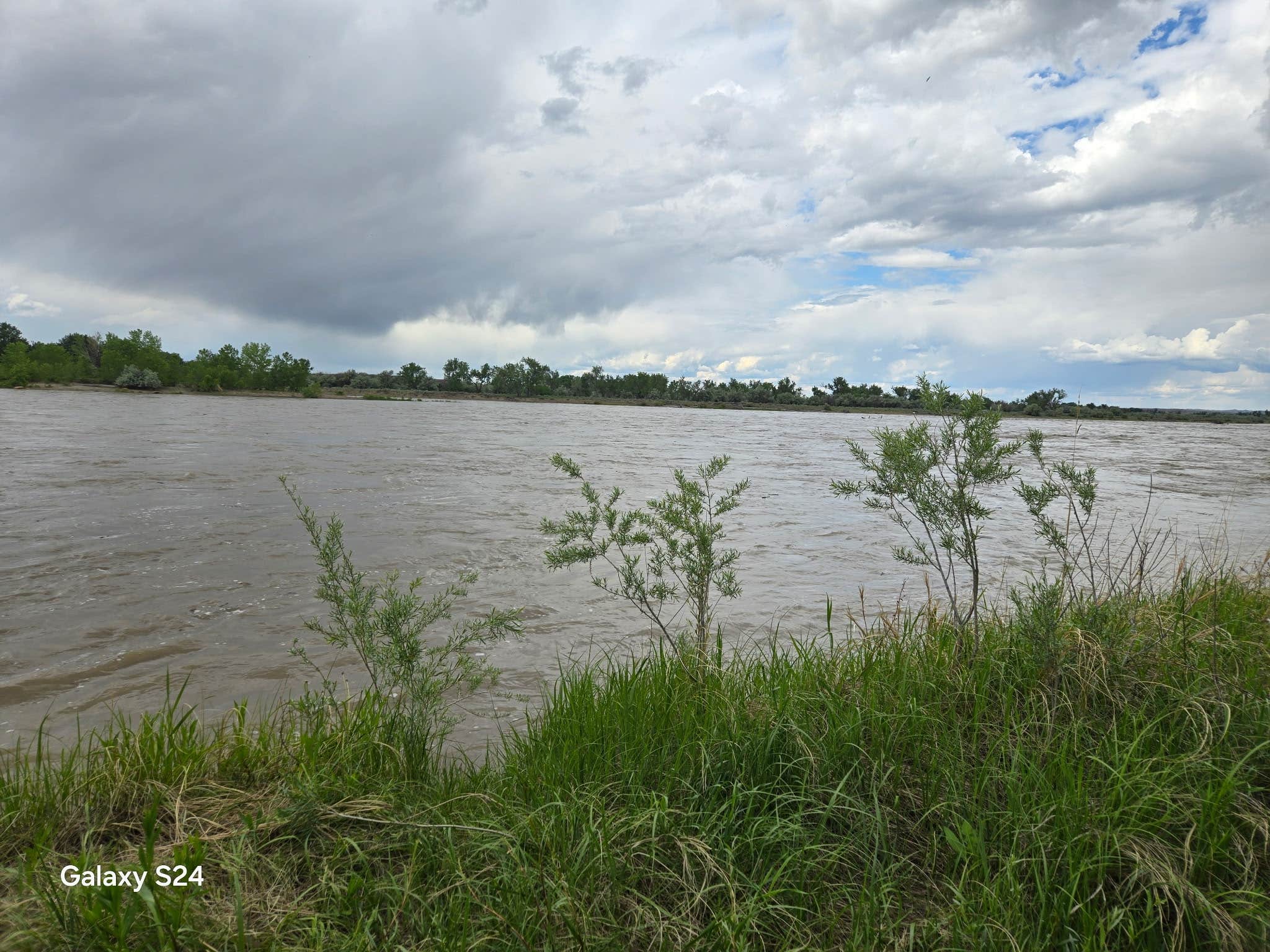 Camper-submitted photo at BLM Mathews Recreation Area near Miles City, MT
