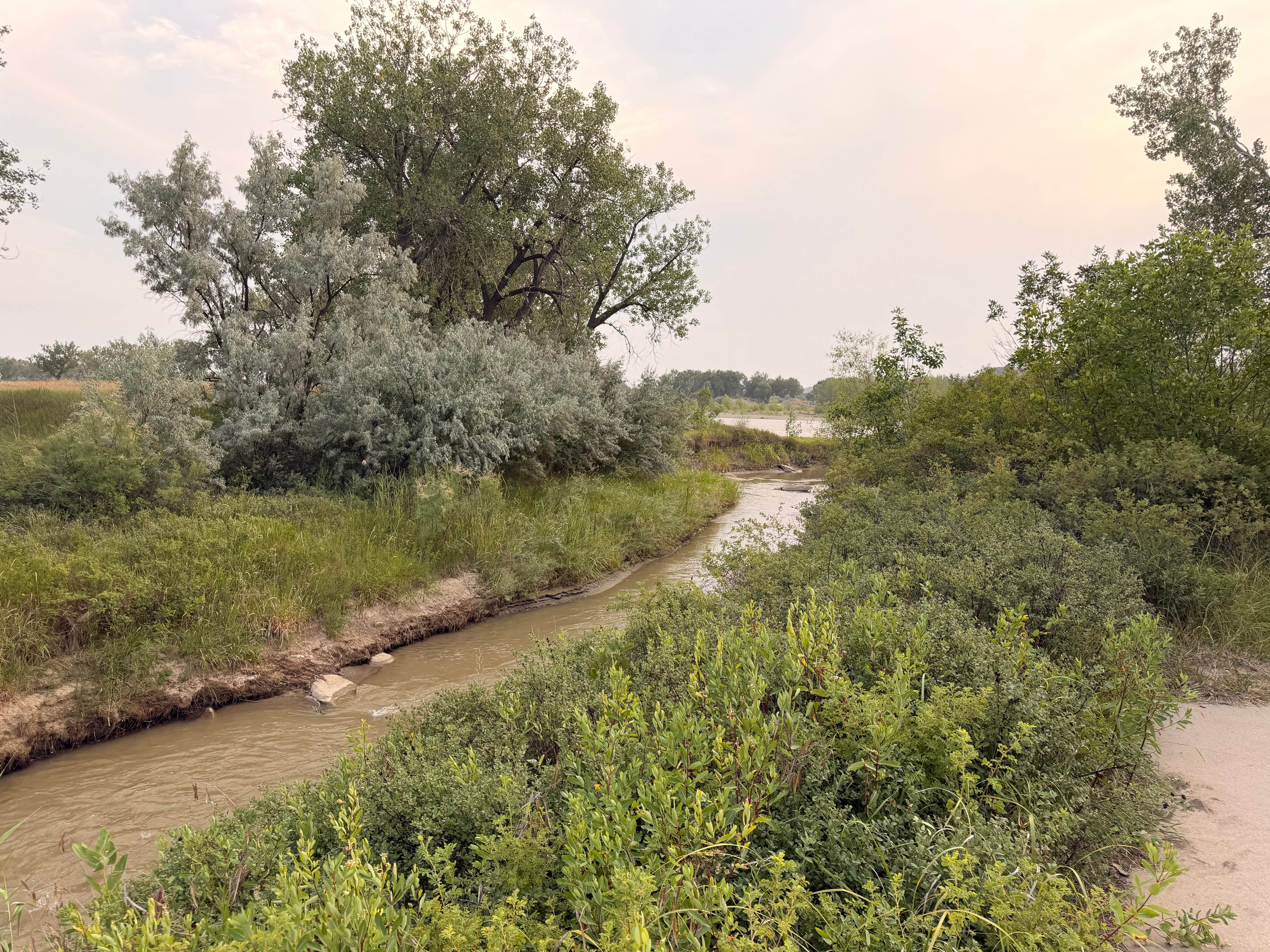 Camper-submitted photo at BLM Mathews Recreation Area near Forsyth, MT