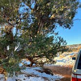 Review photo of BLM Middle Fork Shafer Canyon Dispersed by Miriam R., November 28, 2023