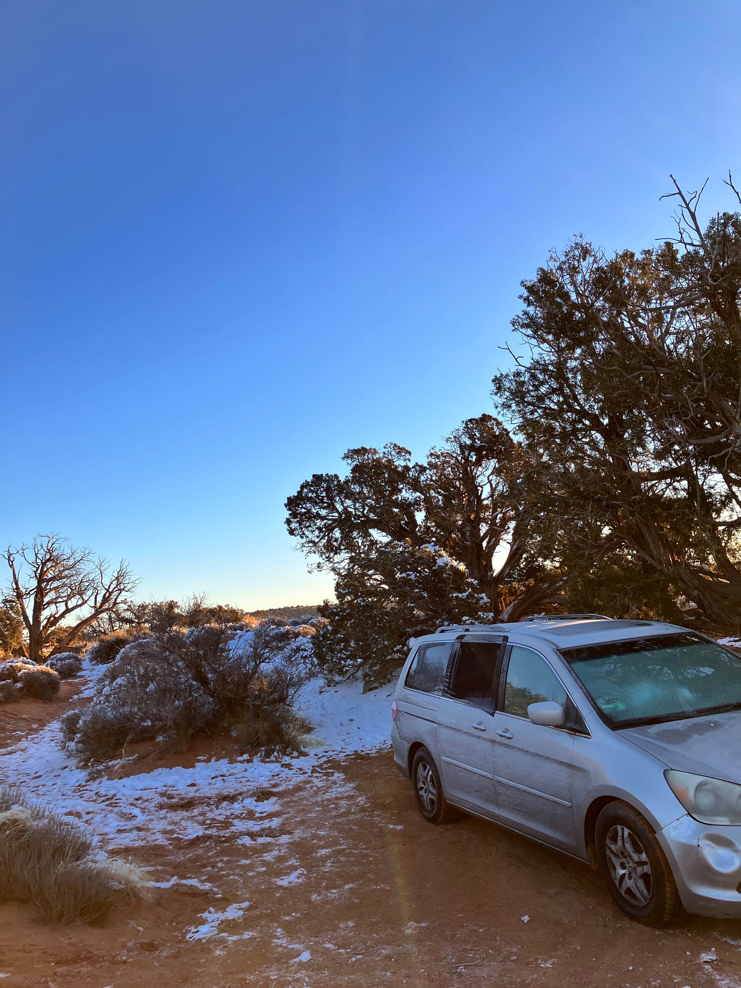 Camper submitted image from BLM Middle Fork Shafer Canyon Dispersed - 5