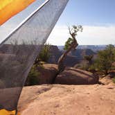 Review photo of BLM Middle Fork Shafer Canyon Dispersed by Lindsay R., November 14, 2025