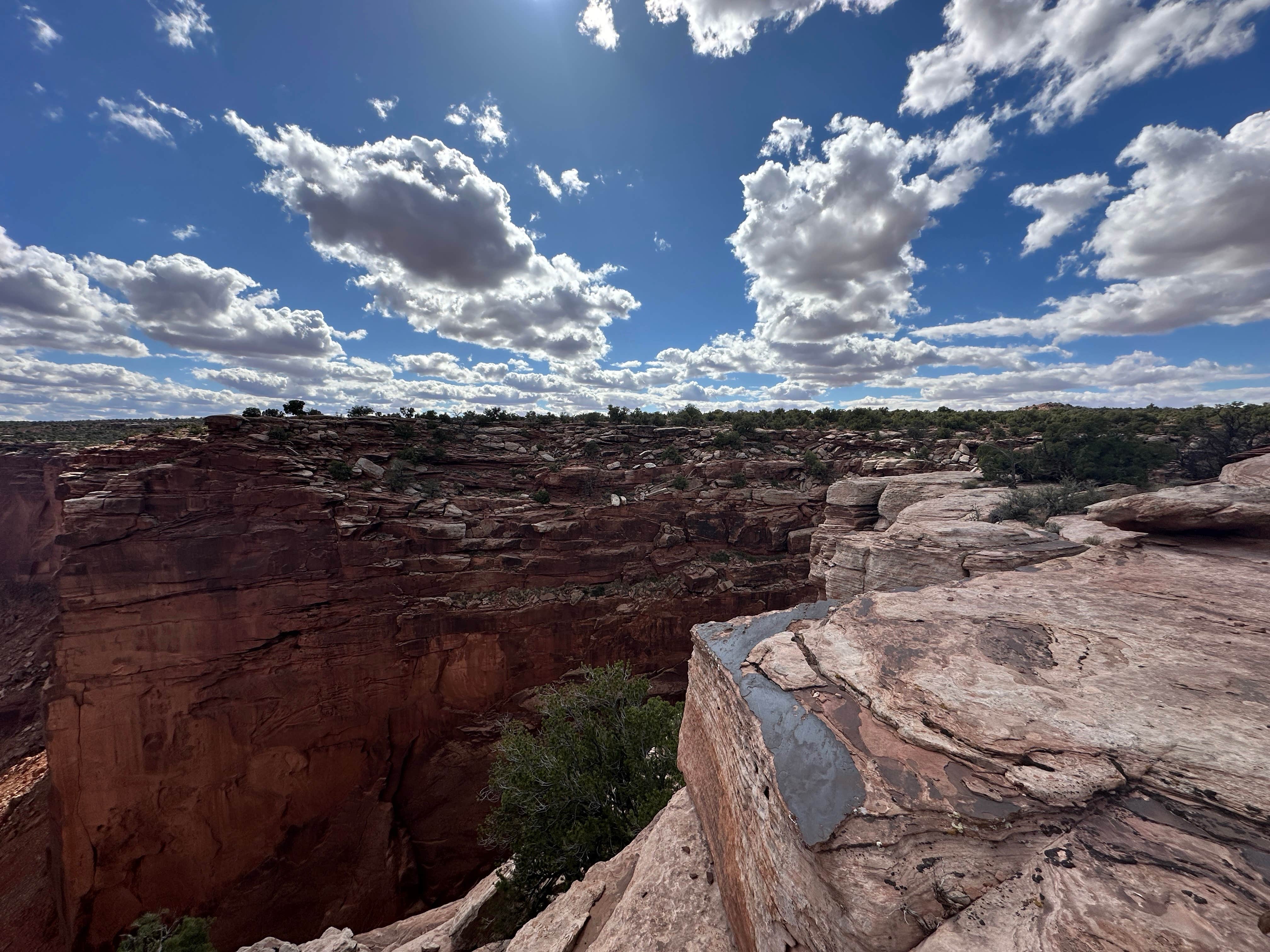 Gabriel T.'s photo of a dispersed camping area at BLM Middle Fork Shafer Canyon Dispersed in Utah