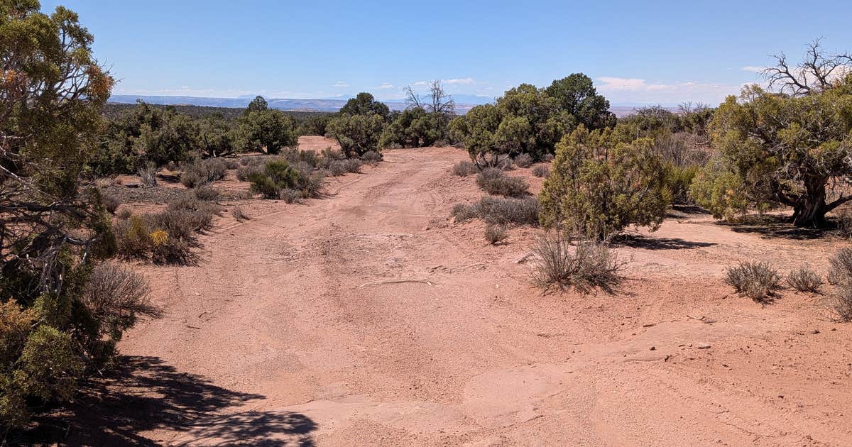 BLM Mineral Point Dispersed Camping Area
