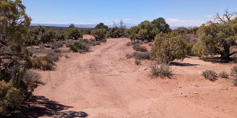 Camper submitted image from BLM Mineral Point Dispersed Camping Area