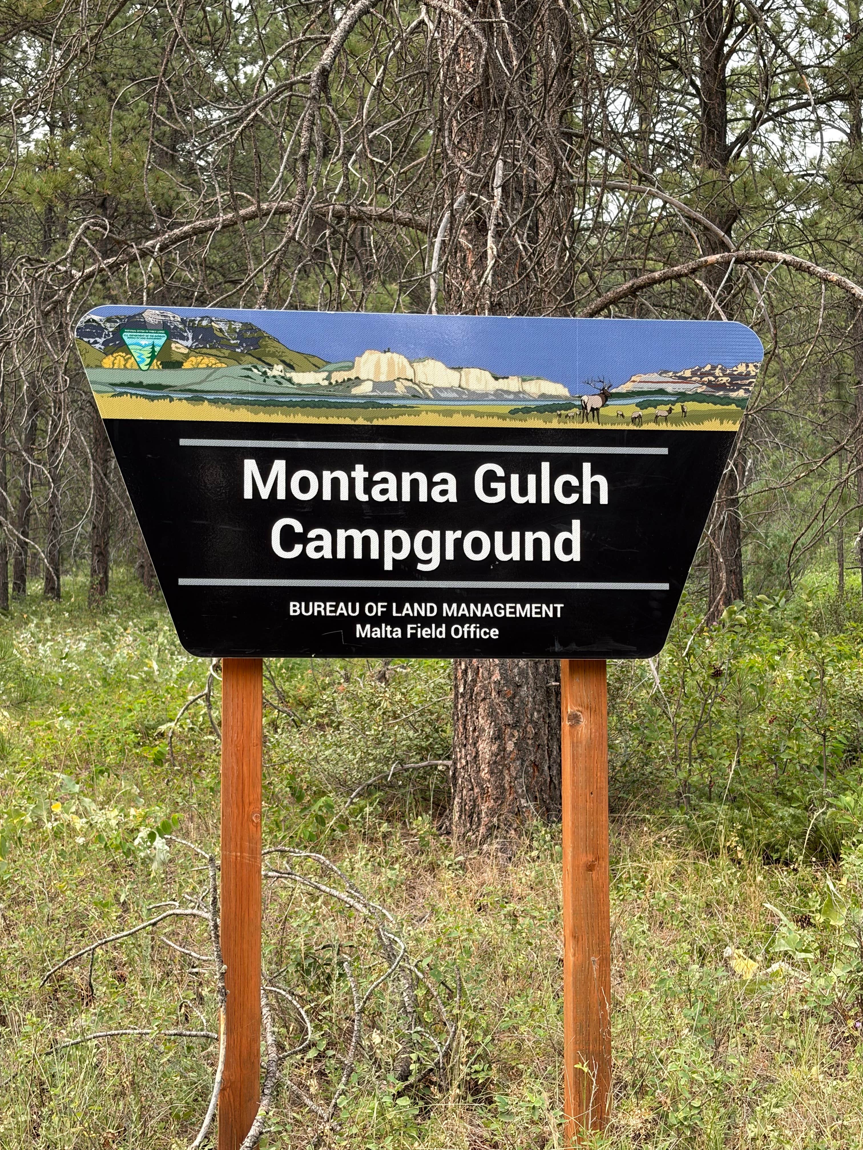 Camper-submitted photo at BLM Montana Gulch Campground near Zortman, MT