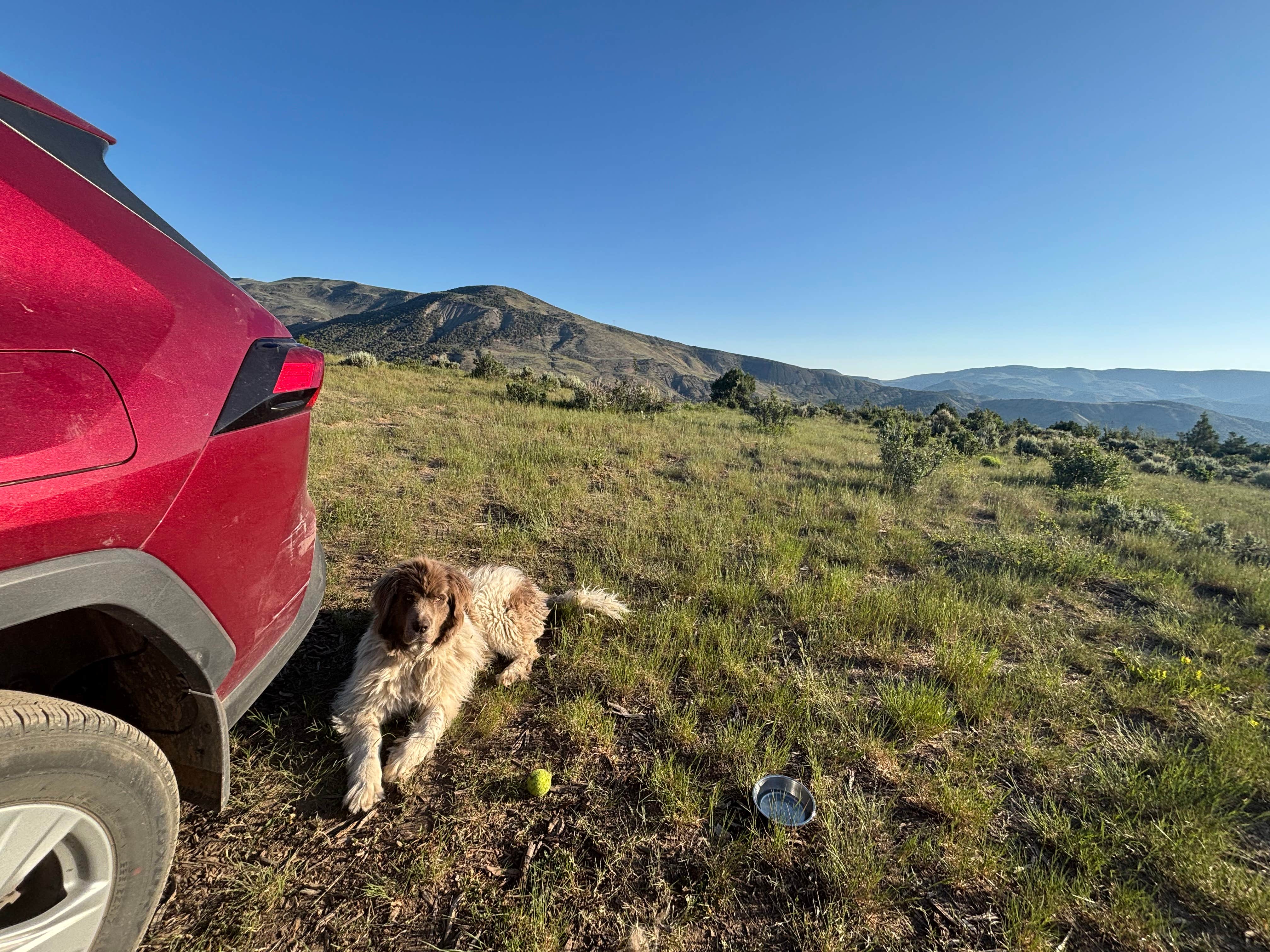 Camper submitted image from BLM Mountain View - 3