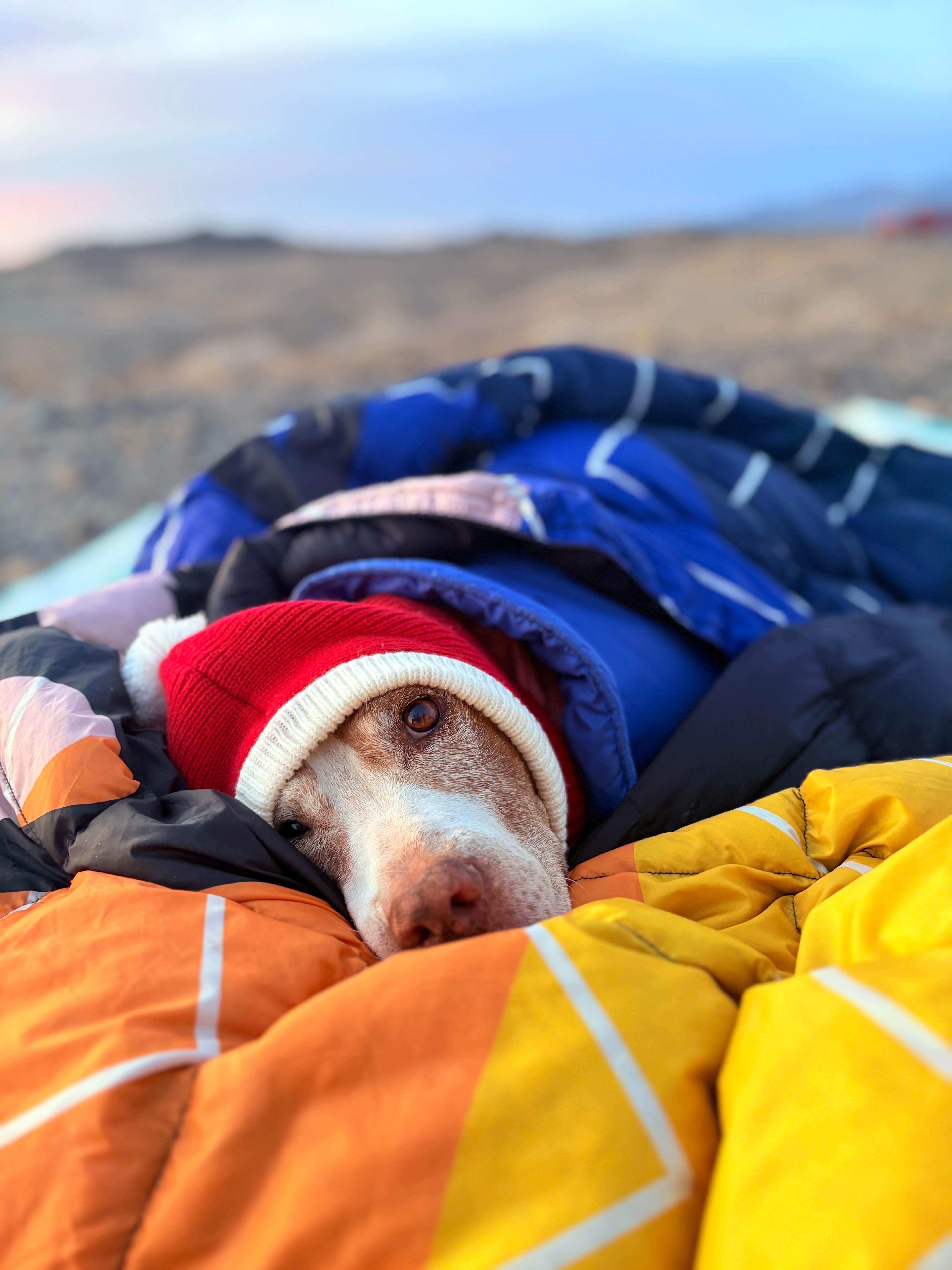 Camper-submitted photo at BLM mp 138.0 spur Dispersed near Earp, CA