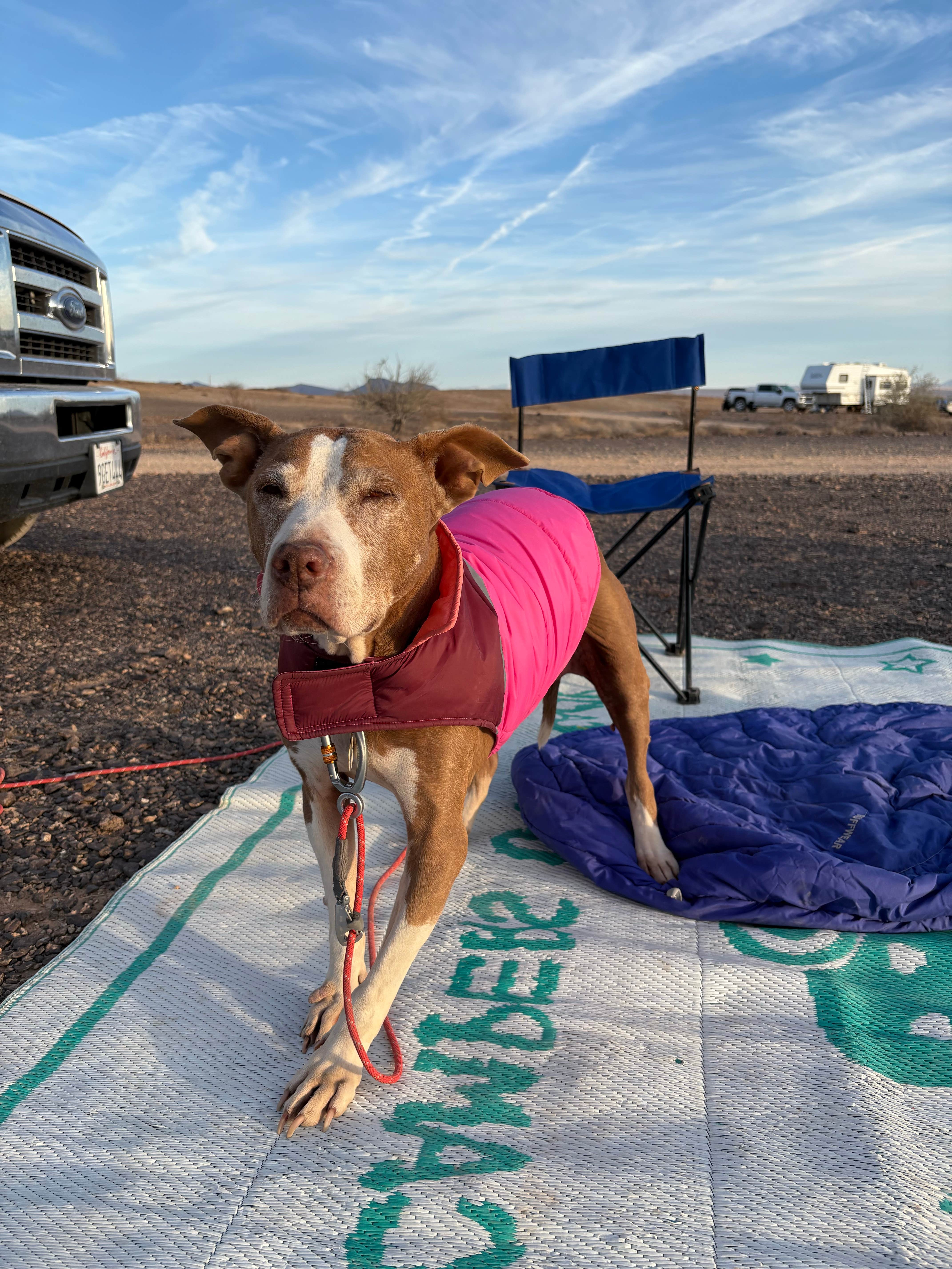 Camping near Parker Pit Road Dispersed: BLM mp 138.0 spur Dispersed, Earp, California