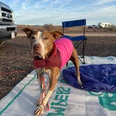 Review photo of BLM mp 138.0 spur Dispersed by Danny T., January 26, 2025