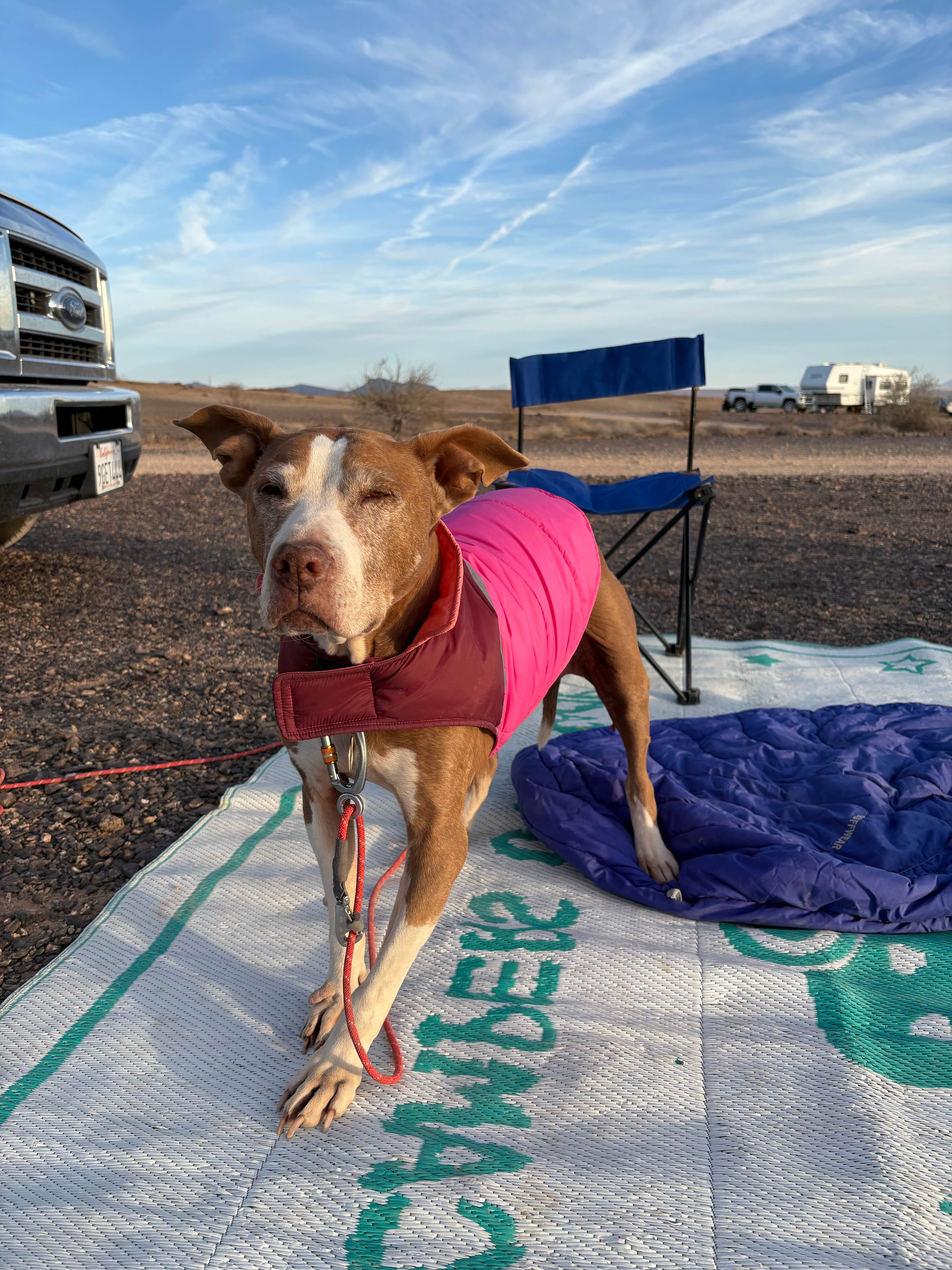 Camper submitted image from BLM mp 138.0 spur Dispersed - 1