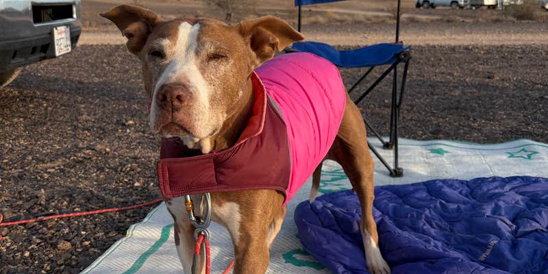 Camper submitted image from BLM mp 138.0 spur Dispersed