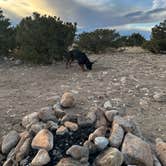 Review photo of BLM Mt. Blanca Rd. Dispersed by Teresa A., March 1, 2026