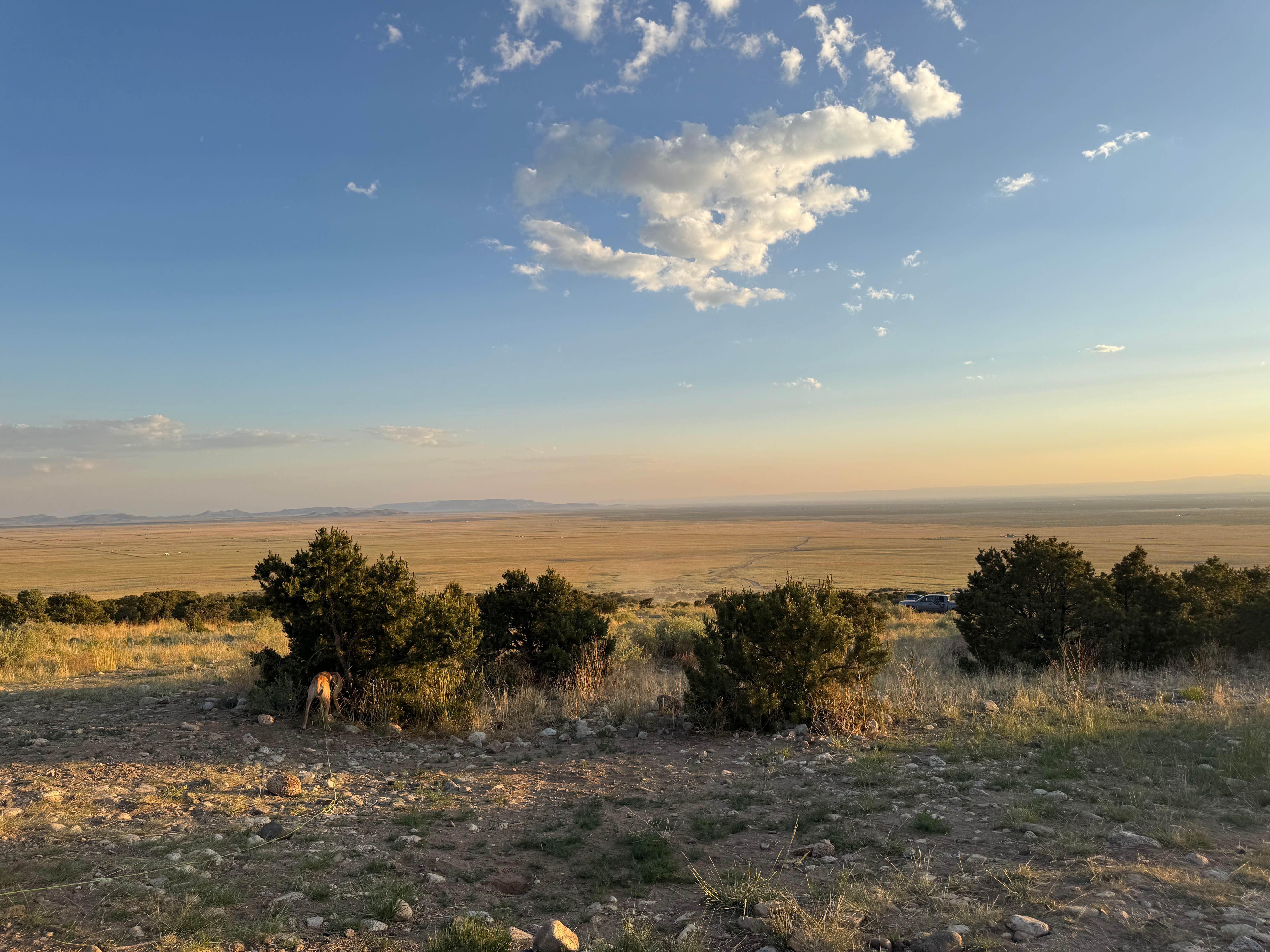 Aly V.'s photo of a dispersed camping area at BLM Mt. Blanca Rd. Dispersed near Weston, CO