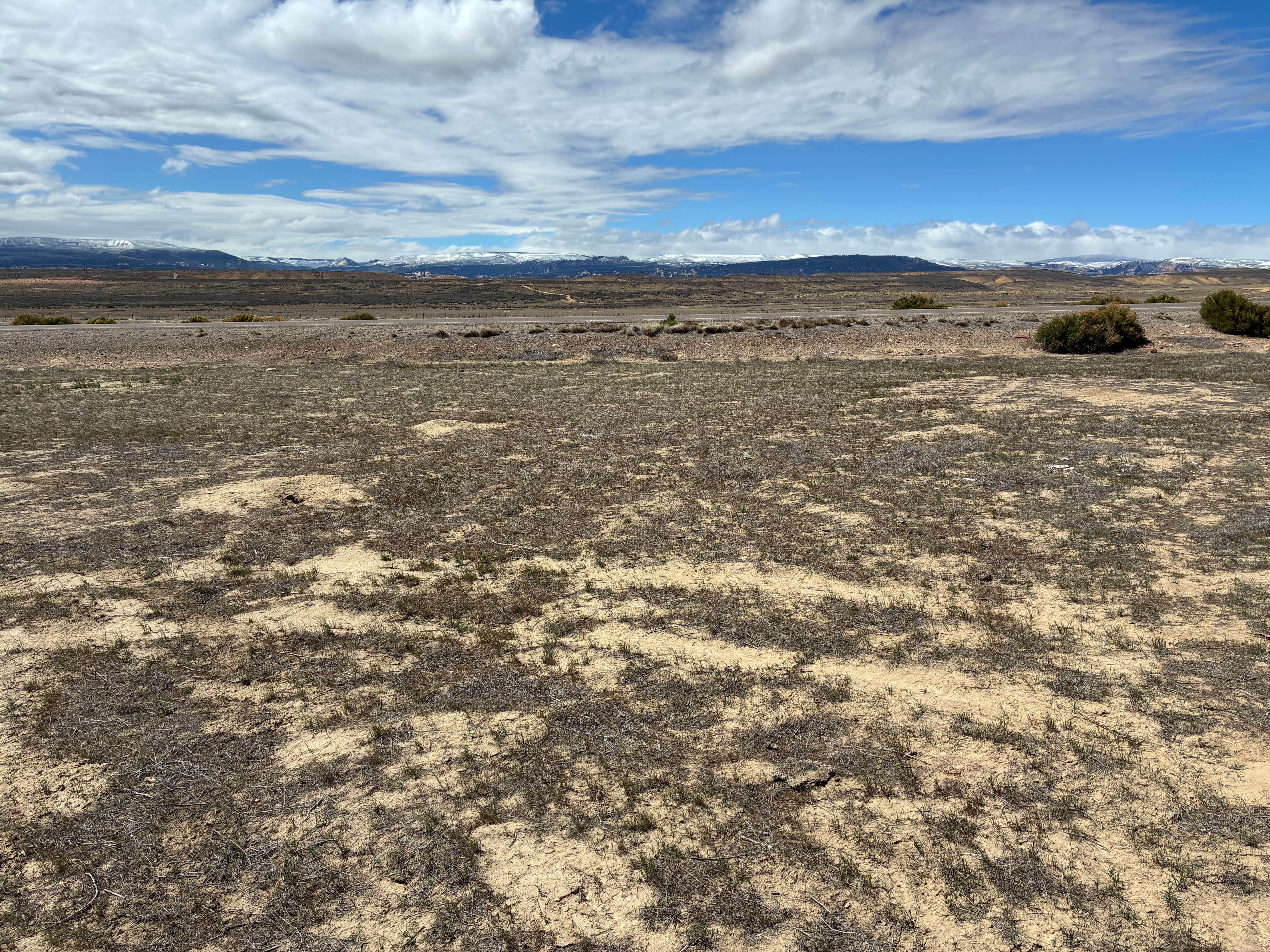 Camper-submitted photo at BLM Dispersed NE of Vernal UT near Vernal, UT