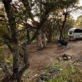 Review photo of Black Canyon Dispersed Camping by Francois T., June 29, 2025