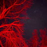 Review photo of Black Canyon Dispersed Camping by Haley L., December 31, 2025