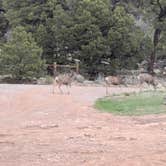 Review photo of Black Canyon Dispersed Camping by Jessa G., April 12, 2026