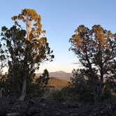 Review photo of Black Canyon Dispersed Camping by Reagan G., June 15, 2025