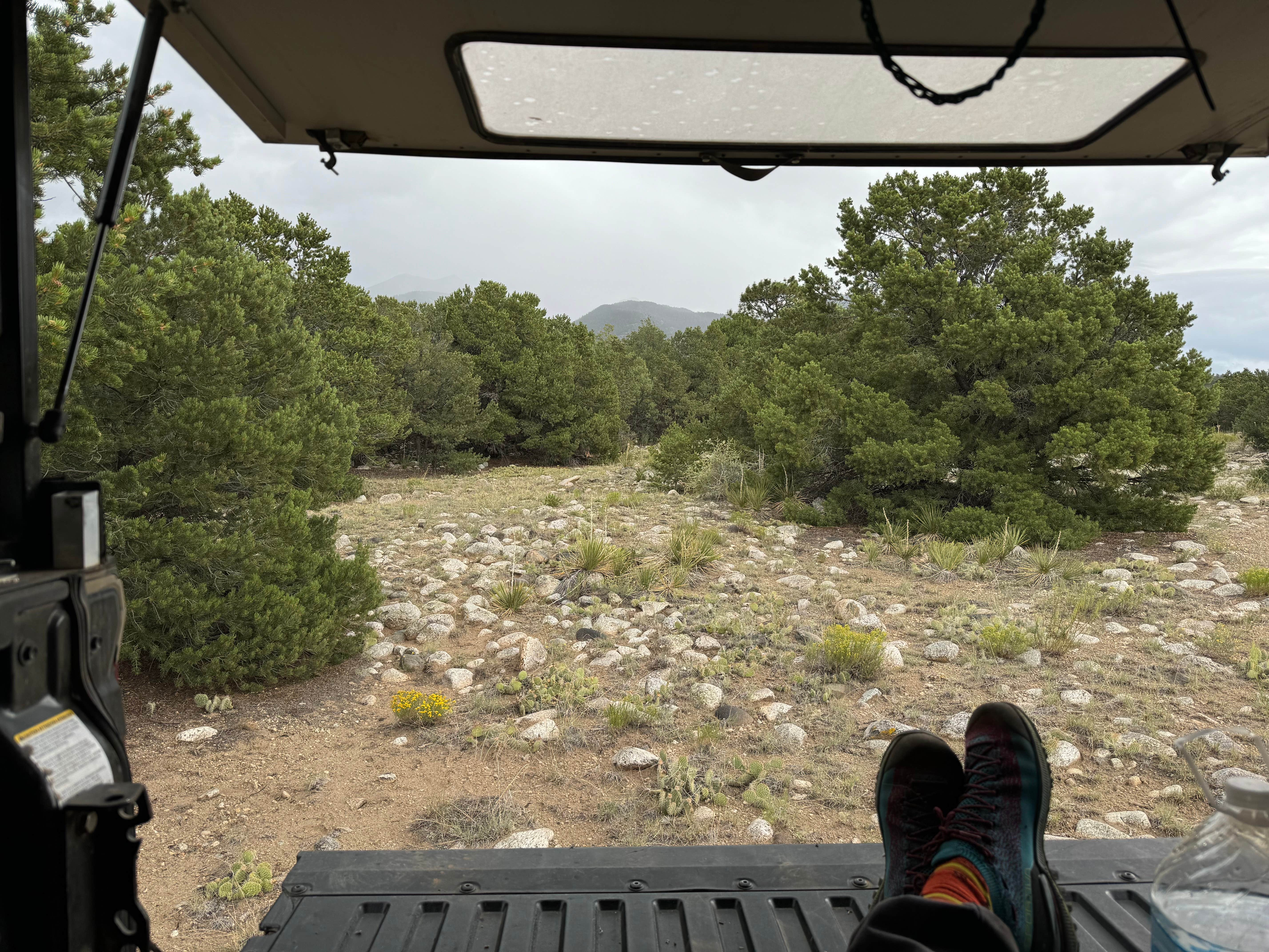 Camper submitted image from BLM Near Great Sand Dunes Hwy 150 - 5