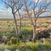 Review photo of BLM Near Great Sand Dunes Hwy 150 by Desiree C., June 26, 2024